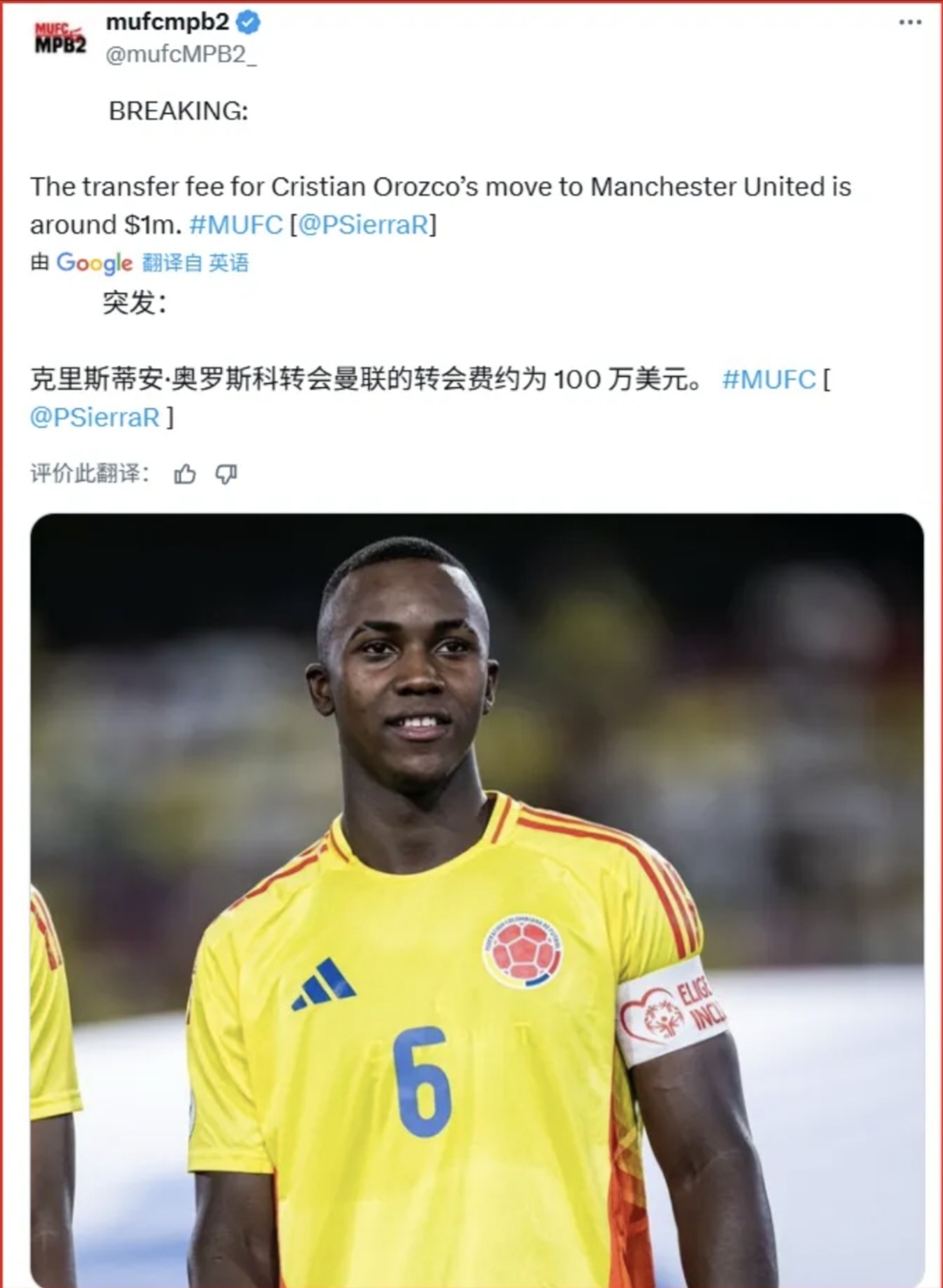 关于赛前布莱顿调整名单以备英超，官宣签约环节打磨，信心回归，年轻球员得到机会的信息