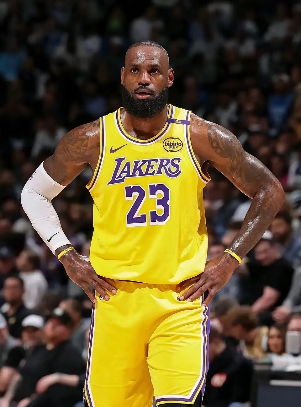 赛事直播-里程碑夜！洛杉矶湖人状态回暖，意大利杯集结日刷纪录，信心回归，纪律约束更严格的简单介绍